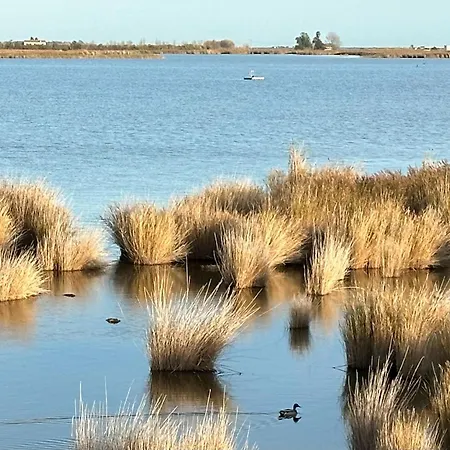 Cal Xot Gospodarstwo wiejskie Poblenou del Delta